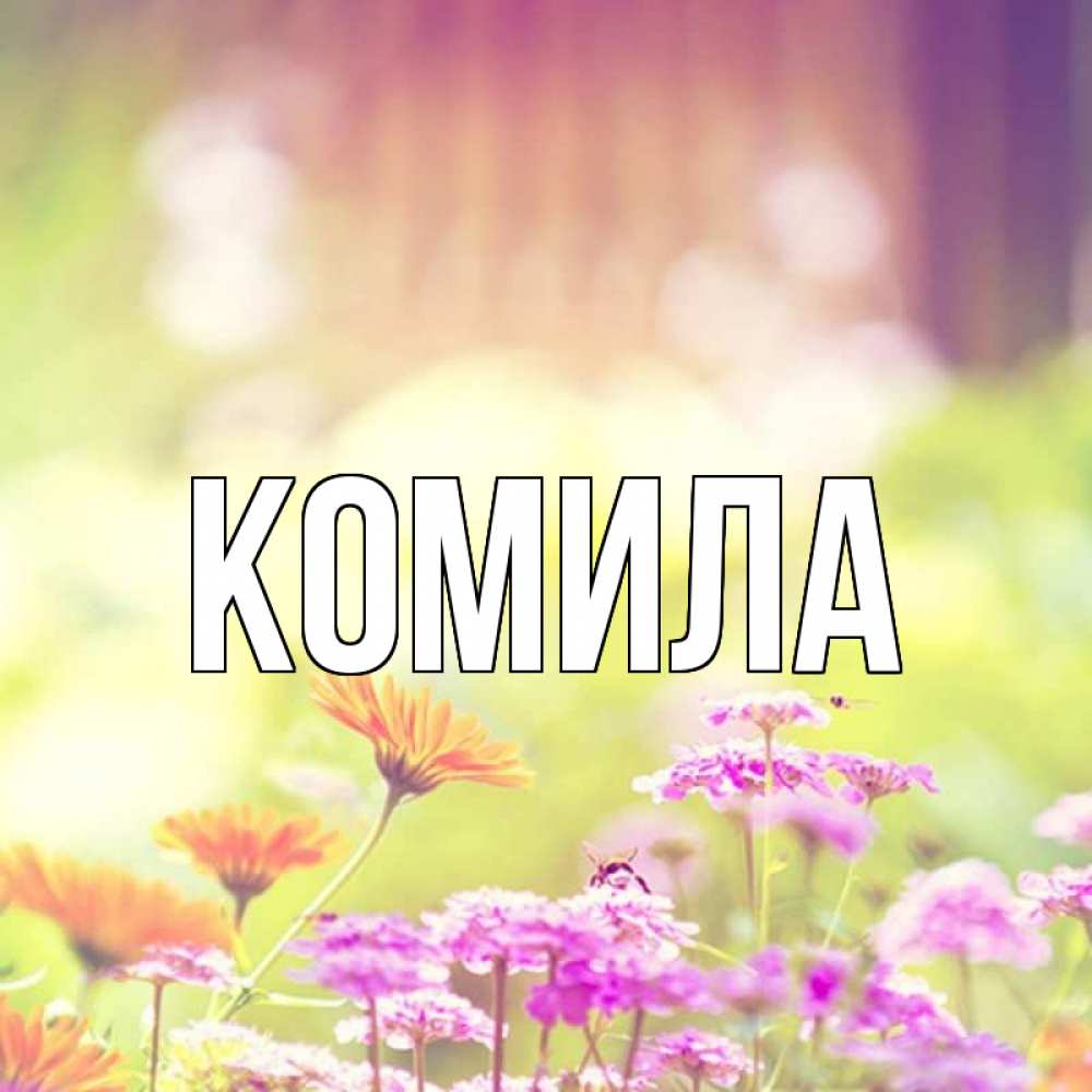 Открытка на каждый день с именем, Комила Главная цветы весна Прикольная открытка с пожеланием онлайн скачать бесплатно 