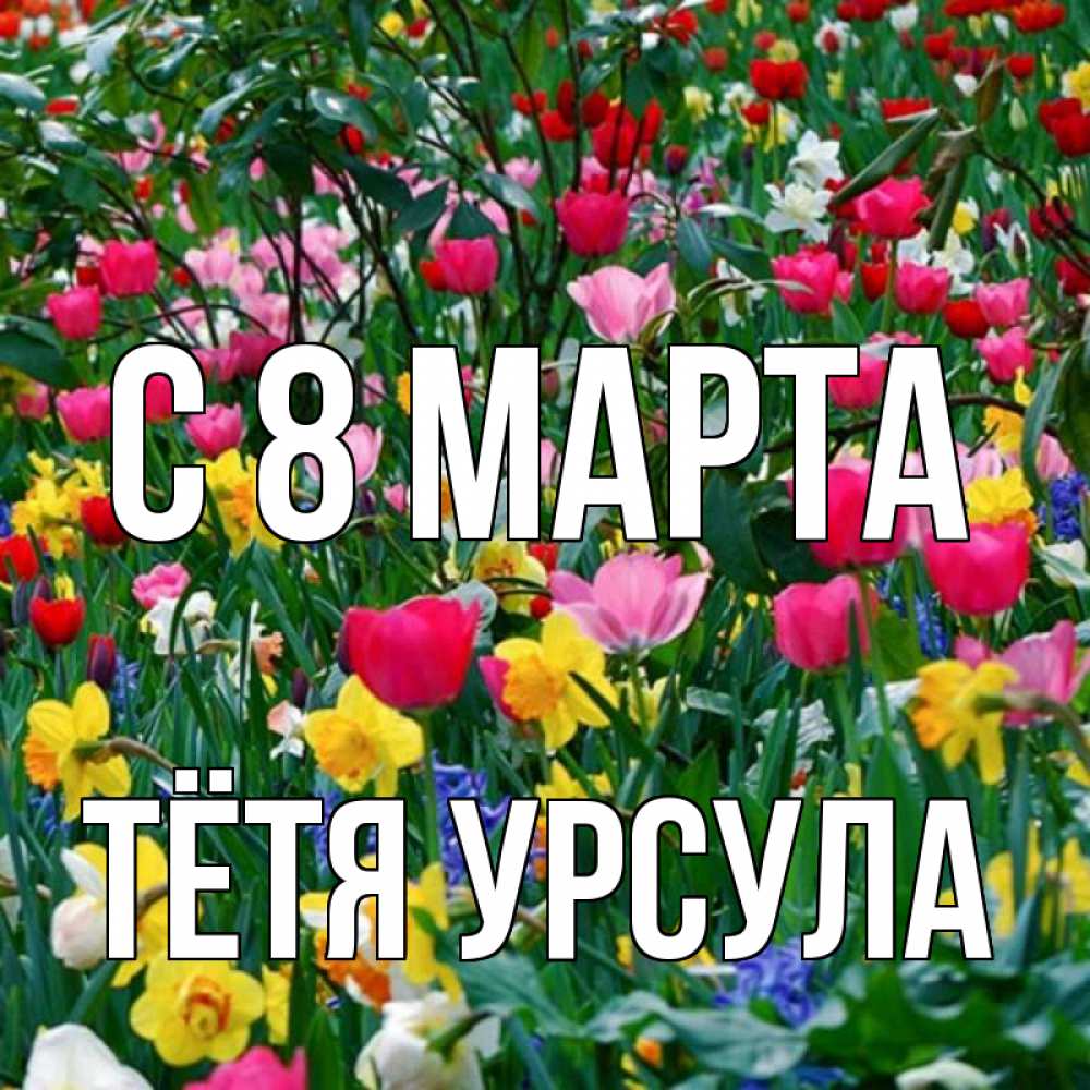 Открытка на каждый день с именем, Тётя-Урсула С 8 марта с международным женским днем поздравления для женщины Прикольная открытка с пожеланием онлайн скачать бесплатно 