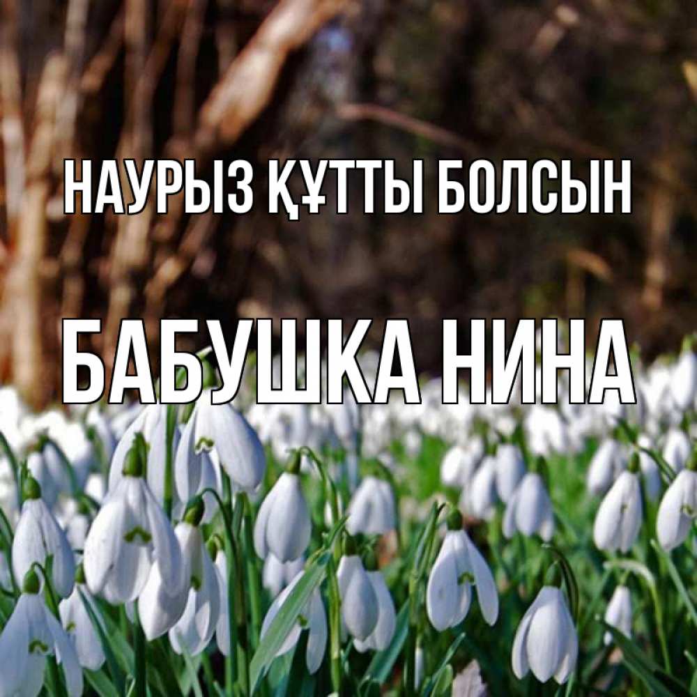Открытка на каждый день с именем, Бабушка-Нина Наурыз құтты болсын с подснежниками 1 Прикольная открытка с пожеланием онлайн скачать бесплатно 