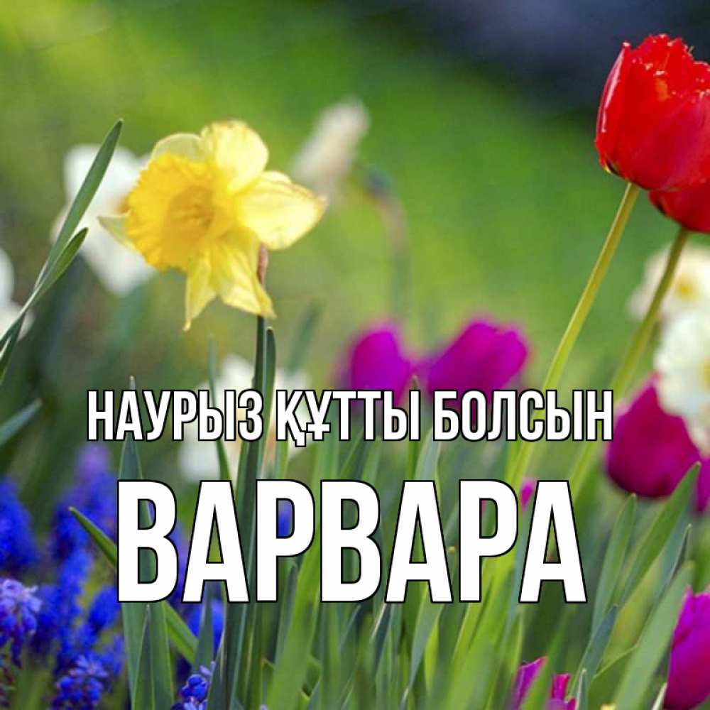 Открытка на каждый день с именем, Варвара Наурыз құтты болсын наурыз  3 открытки Прикольная открытка с пожеланием онлайн скачать бесплатно 