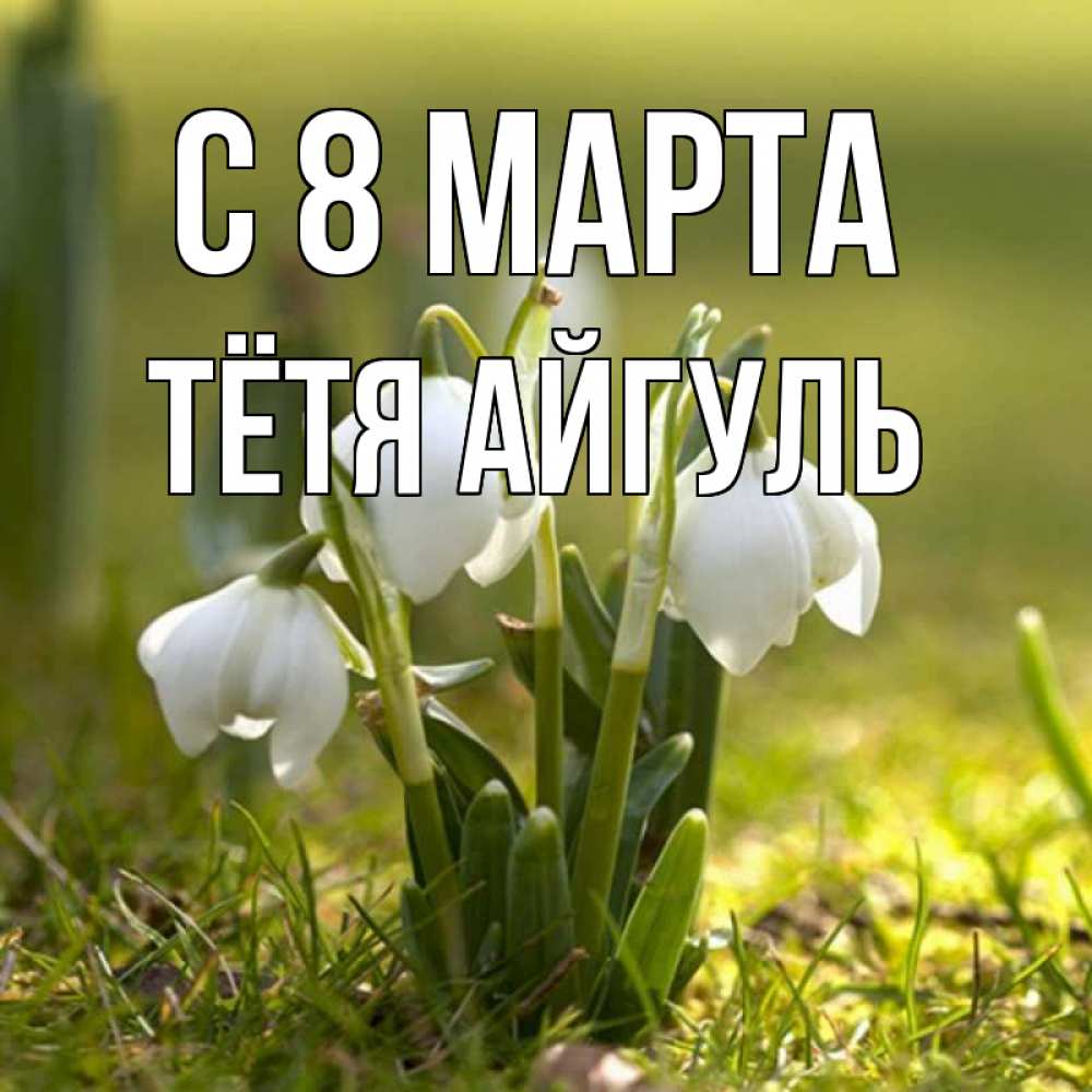 Открытка на каждый день с именем, Тётя-Айгуль С 8 марта ранние цветы 2 Прикольная открытка с пожеланием онлайн скачать бесплатно 