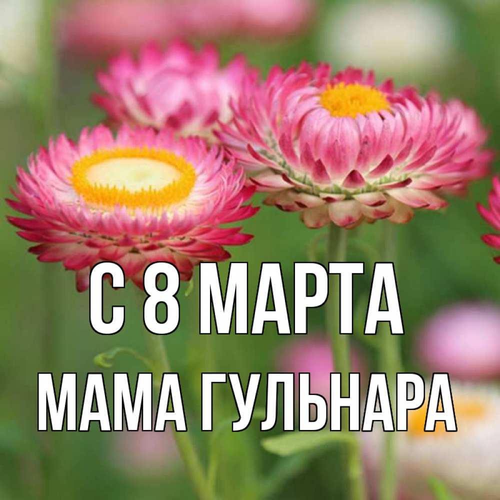 Открытка на каждый день с именем, Мама-Гульнара С 8 МАРТА подарок на международный женский день Прикольная открытка с пожеланием онлайн скачать бесплатно 