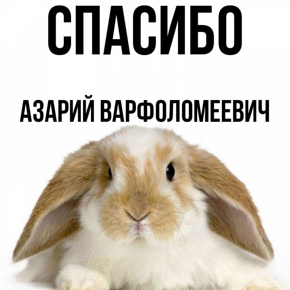 Саня спасибо картинки