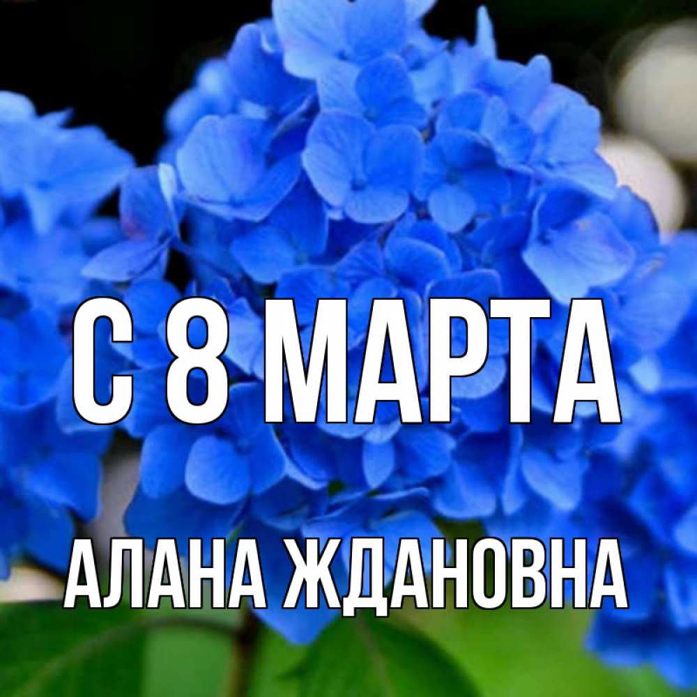 Открытка на каждый день с именем, Алана-Ждановна С 8 марта синие цветы Прикольная открытка с пожеланием онлайн скачать бесплатно 