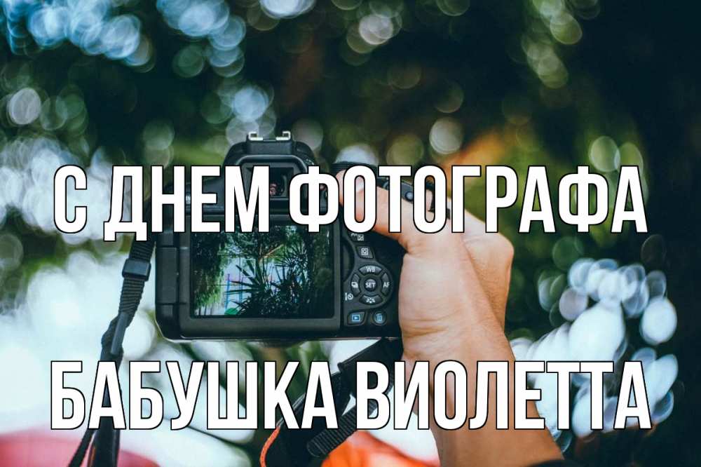 Открытка на каждый день с именем, Бабушка-Виолетта С днем фотографа с днем фотографа Прикольная открытка с пожеланием онлайн скачать бесплатно 