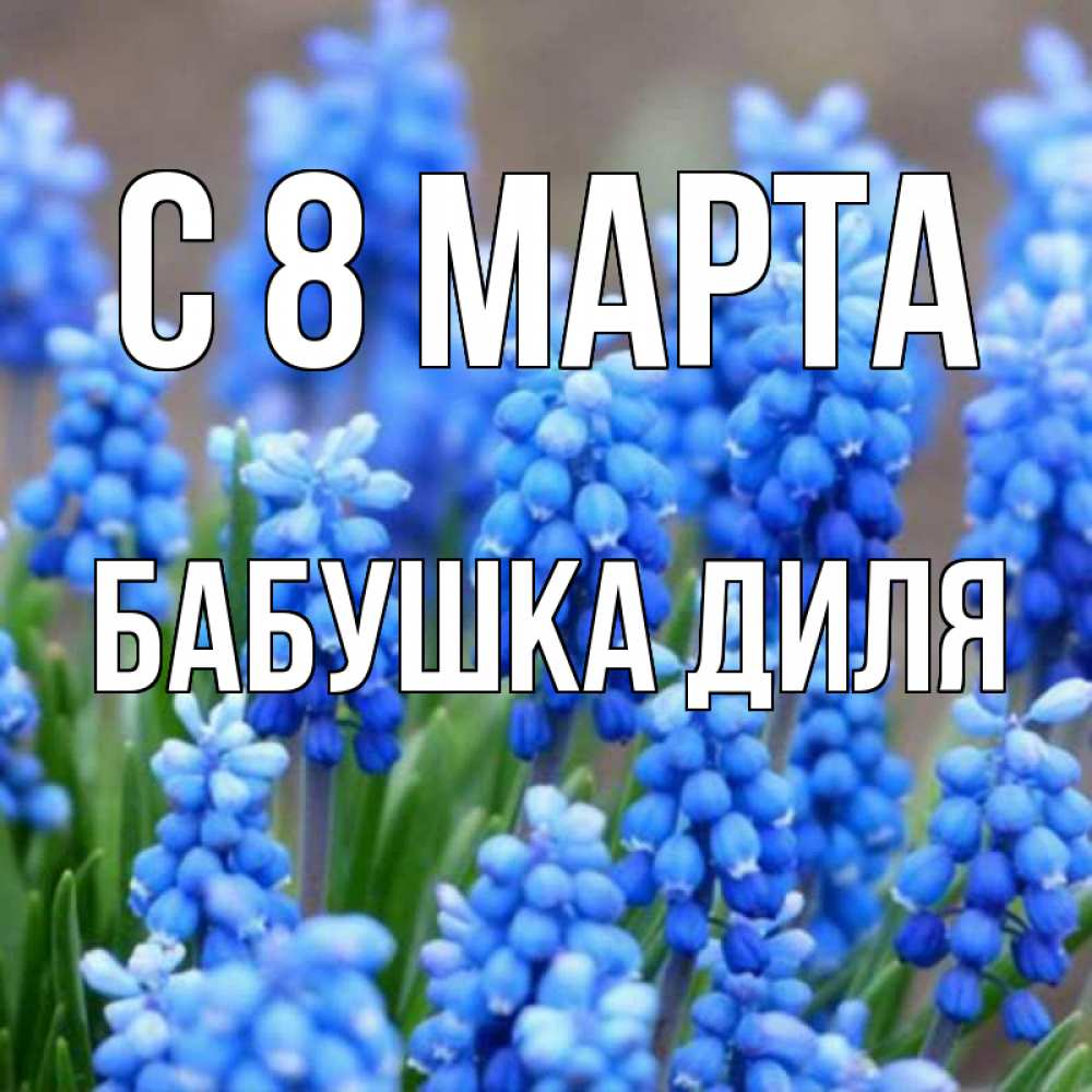 Открытка на каждый день с именем, Бабушка-Диля С 8 МАРТА Поздравительная открытка для женщин с цветами на праздничную дату Прикольная открытка с пожеланием онлайн скачать бесплатно 