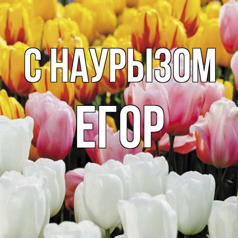 Открытка на каждый день с именем, Егор С наурызом разноцветные цветы Прикольная открытка с пожеланием онлайн скачать бесплатно 
