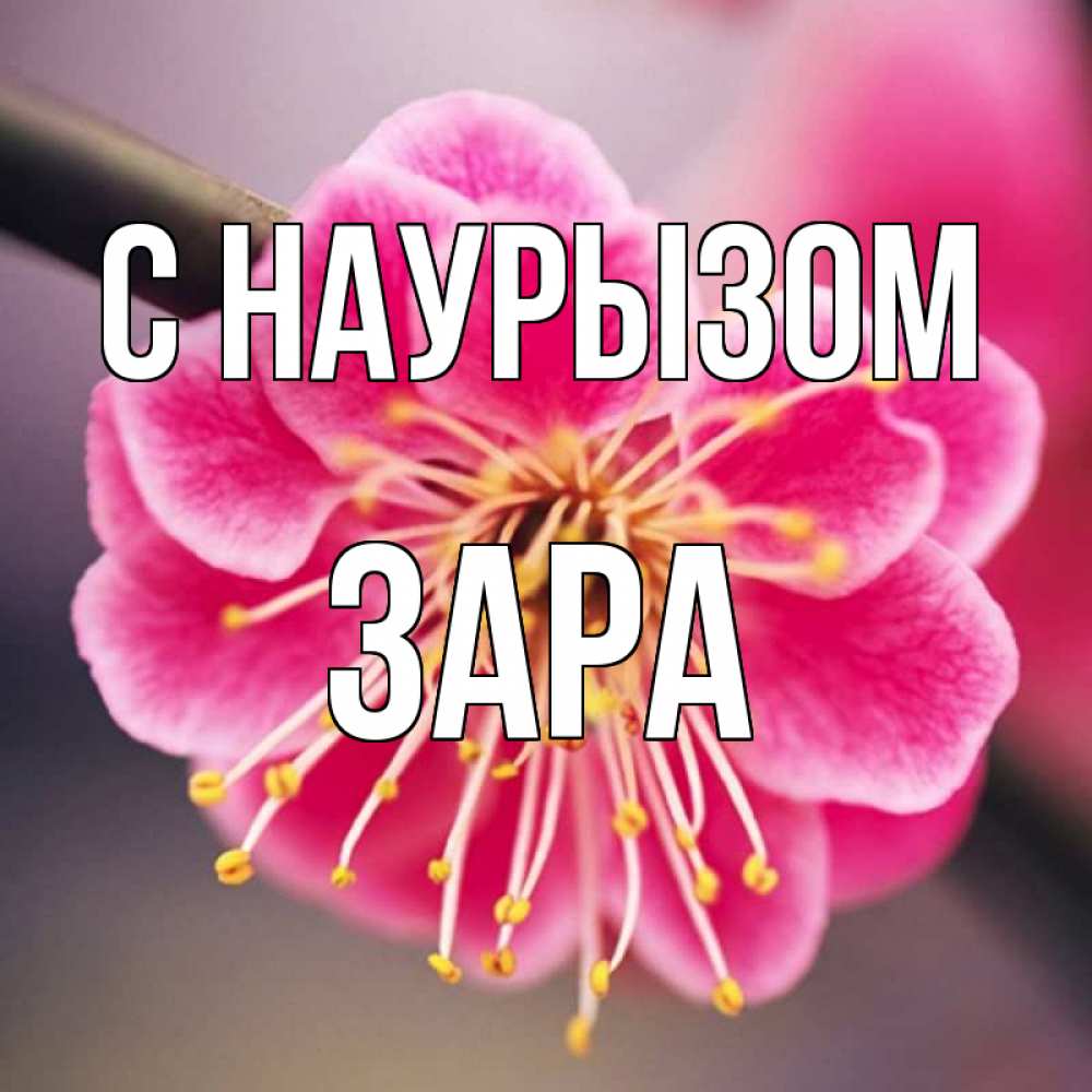 Открытка на каждый день с именем, Зара С наурызом цветы Прикольная открытка с пожеланием онлайн скачать бесплатно 