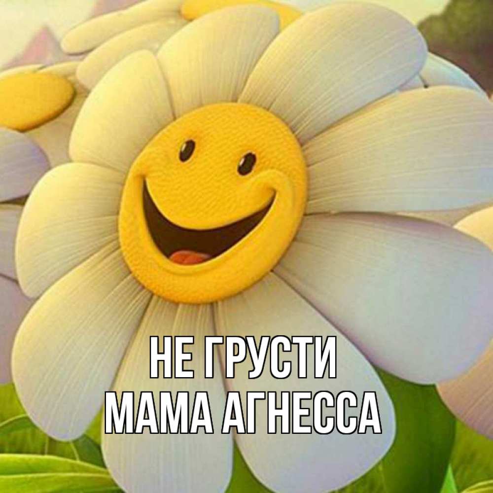 Открытка на каждый день с именем, Мама-Агнесса Не грусти огромная улыбающаяся ромашуща Прикольная открытка с пожеланием онлайн скачать бесплатно 