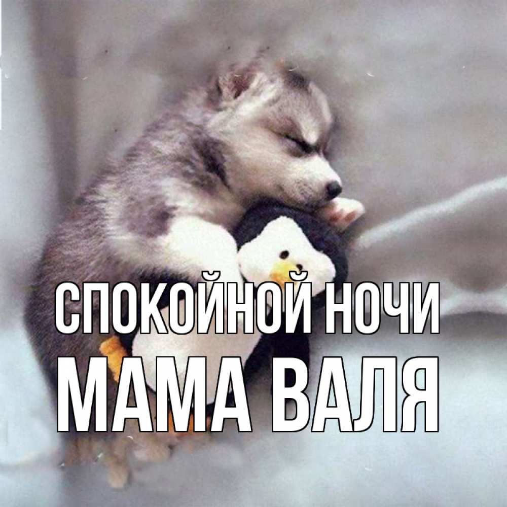 Открытка на каждый день с именем, Мама-Валя Спокойной ночи обнимашки щенка и пингвина Прикольная открытка с пожеланием онлайн скачать бесплатно 
