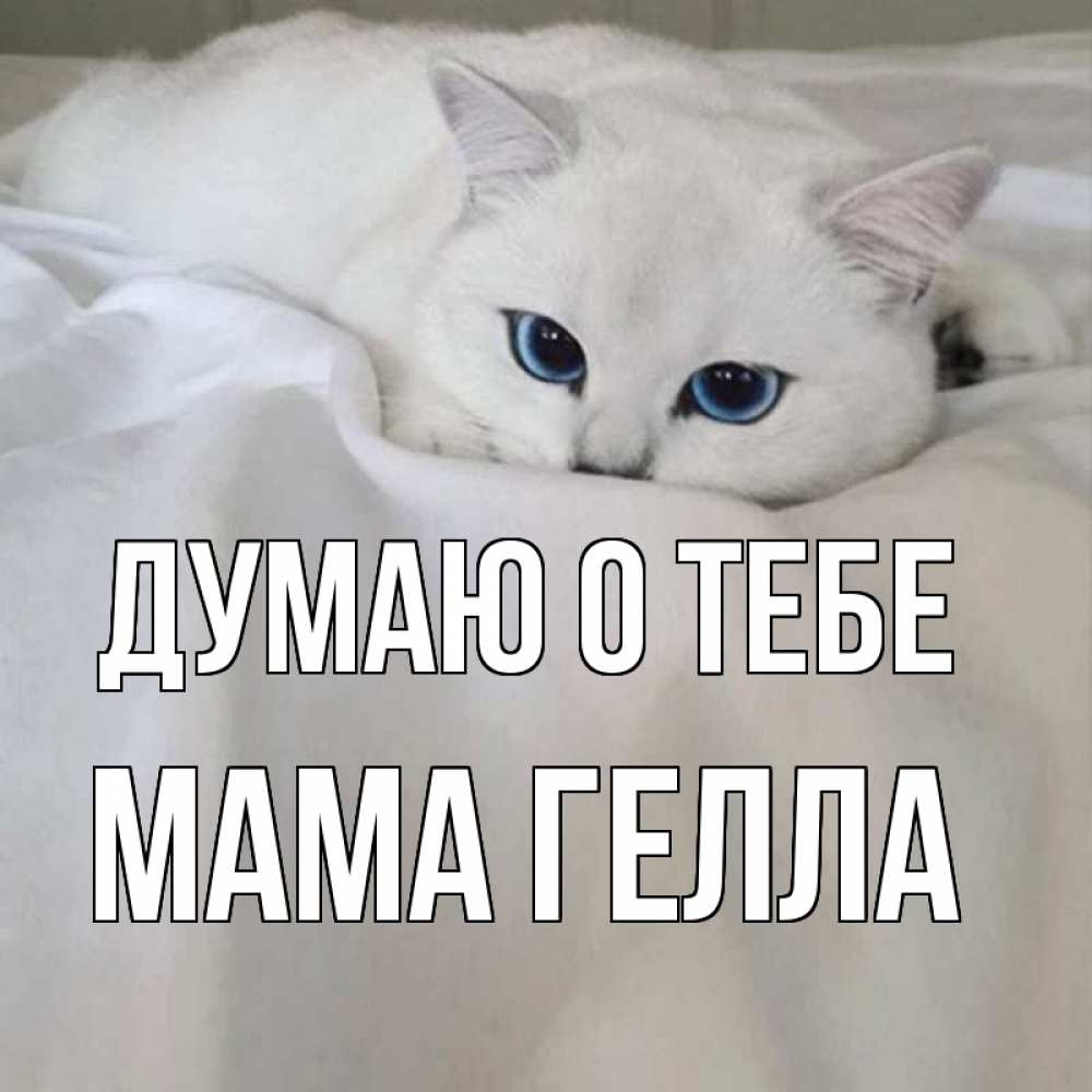 Открытка на каждый день с именем, Мама-Гелла Думаю о тебе я очень по тебе скучаю и тоскую Прикольная открытка с пожеланием онлайн скачать бесплатно 