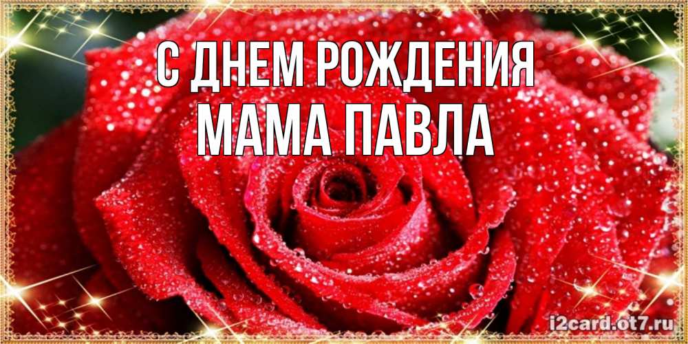 Открытка на каждый день с именем, Мама-Павла С днем рождения роса и роза. открытка с красивой розой Прикольная открытка с пожеланием онлайн скачать бесплатно 