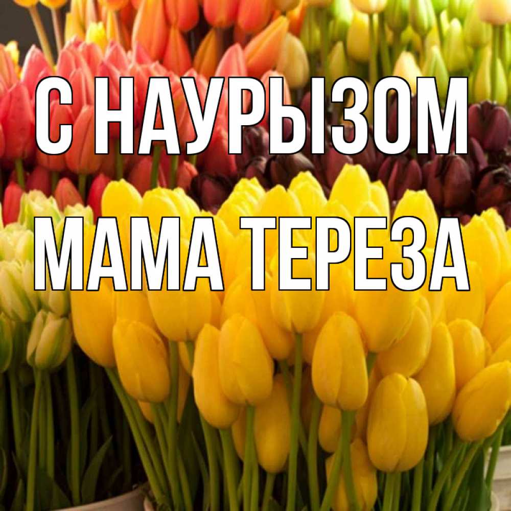 Открытка на каждый день с именем, Мама-Тереза С наурызом цветы Прикольная открытка с пожеланием онлайн скачать бесплатно 