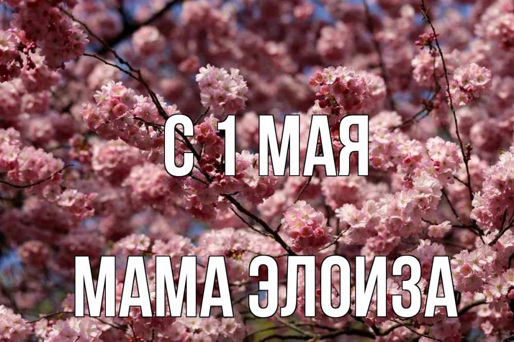 Открытка на каждый день с именем, Мама-Элоиза С 1 мая С 1 мая Прикольная открытка с пожеланием онлайн скачать бесплатно 