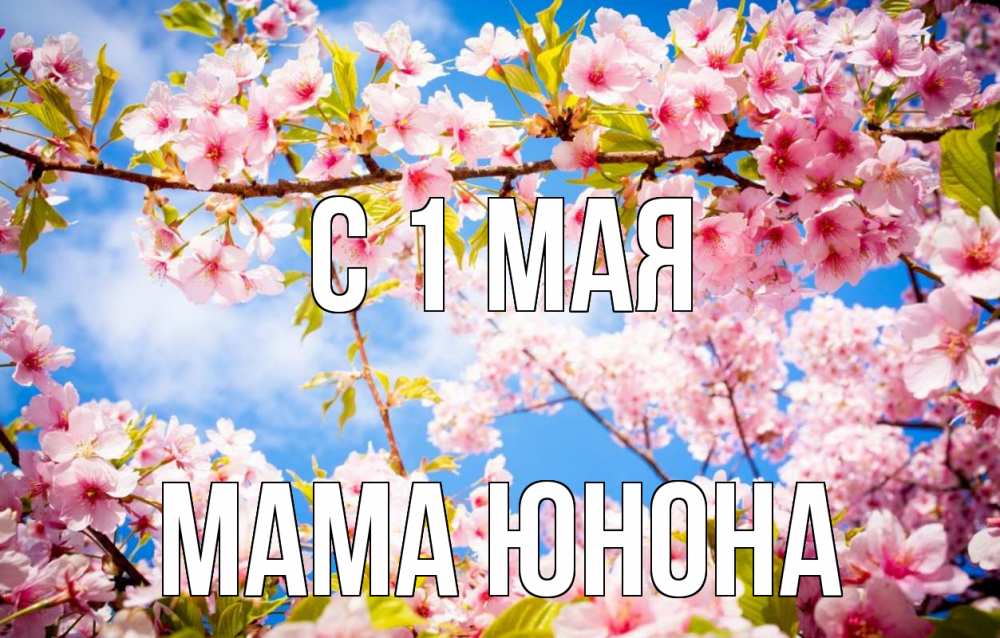 Открытка на каждый день с именем, Мама-Юнона С 1 мая С 1 мая Прикольная открытка с пожеланием онлайн скачать бесплатно 