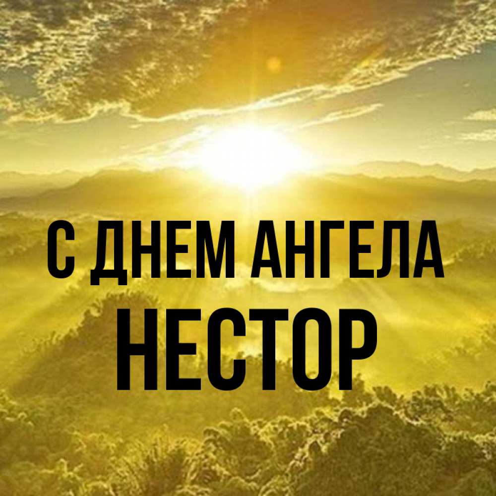 Открытка на каждый день с именем, Нестор С днем ангела леса и небо в желтом Прикольная открытка с пожеланием онлайн скачать бесплатно 