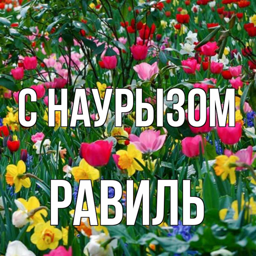 Открытка на каждый день с именем, Равиль С наурызом с наурызом праздником весны поздравления для женщины Прикольная открытка с пожеланием онлайн скачать бесплатно 