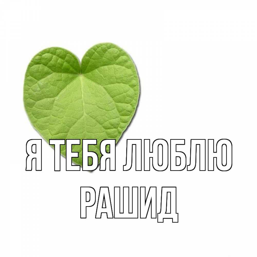 Открытка на каждый день с именем, Рашид Я тебя люблю тебе Прикольная открытка с пожеланием онлайн скачать бесплатно 