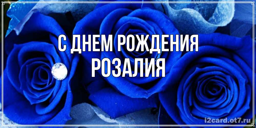 Открытка на каждый день с именем, Розалия С днем рождения синие розы в росе Прикольная открытка с пожеланием онлайн скачать бесплатно 