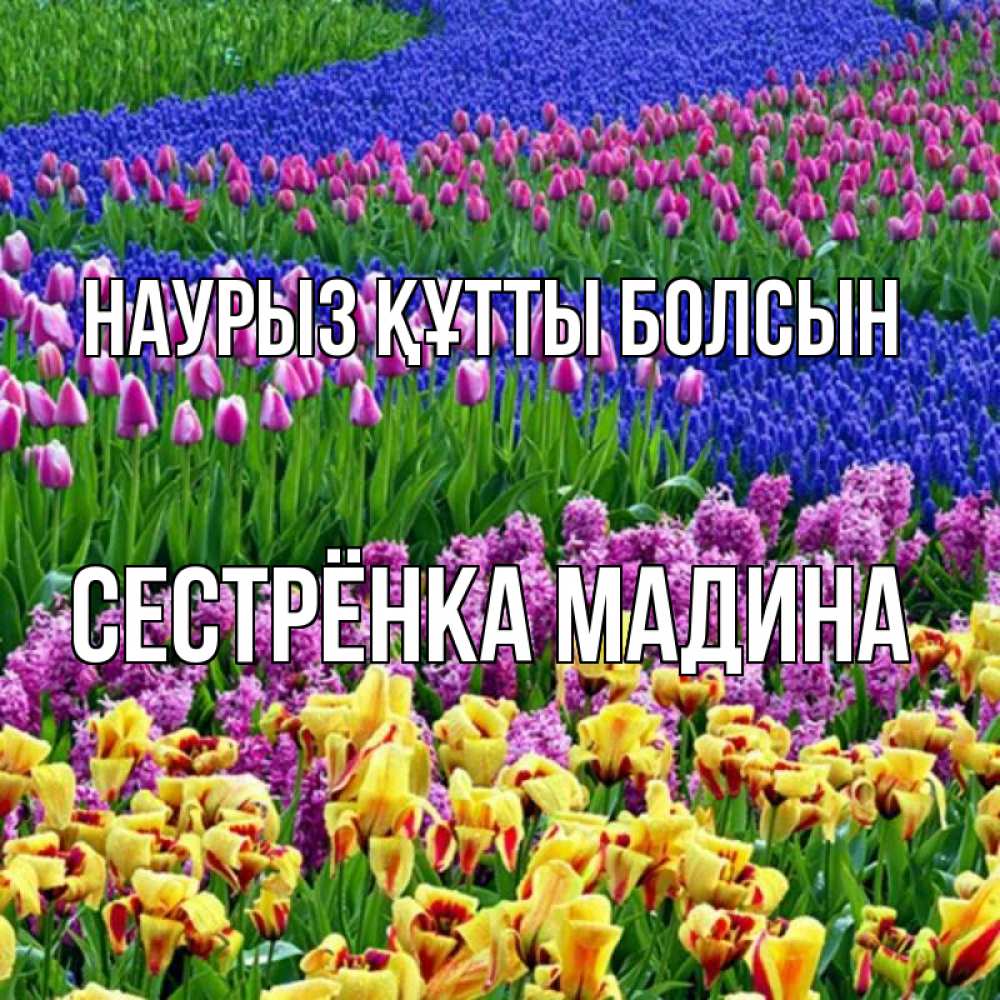 Открытка на каждый день с именем, Сестрёнка-Мадина Наурыз құтты болсын цветы Прикольная открытка с пожеланием онлайн скачать бесплатно 