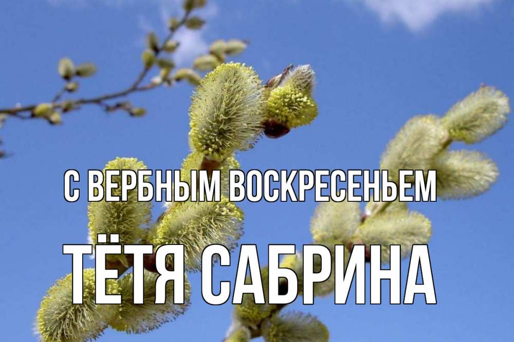 Открытка на каждый день с именем, Тётя-Сабрина С вербным воскресеньем верба Прикольная открытка с пожеланием онлайн скачать бесплатно 
