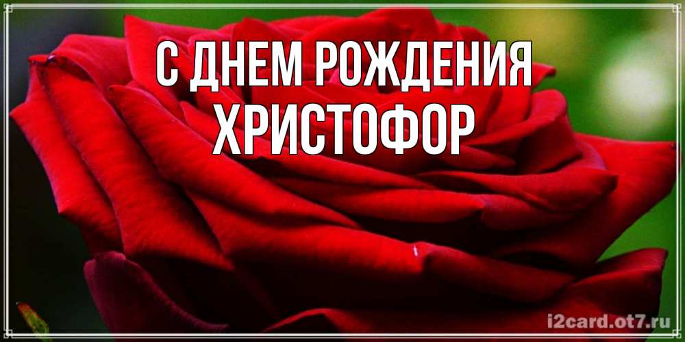 Открытка на каждый день с именем, Христофор С днем рождения розочка очень красивая Прикольная открытка с пожеланием онлайн скачать бесплатно 