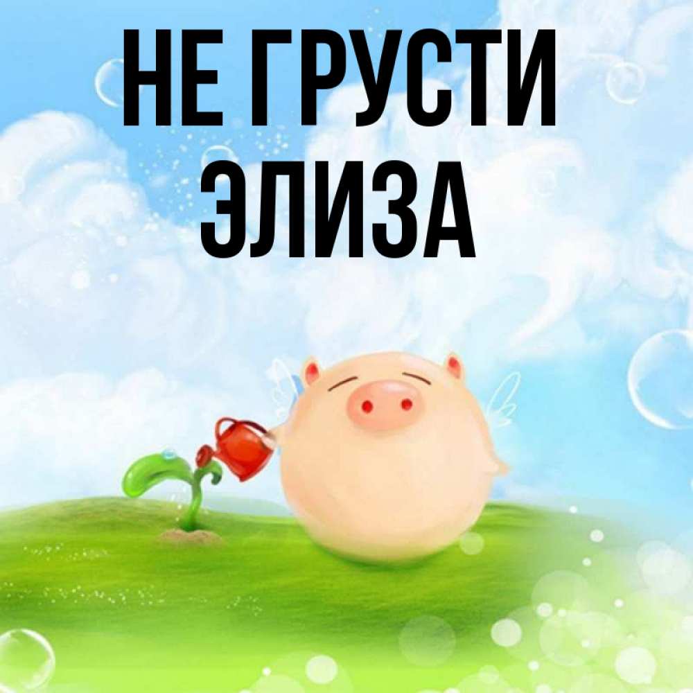 Открытка на каждый день с именем, Элиза Не грусти поливает цветок порося Прикольная открытка с пожеланием онлайн скачать бесплатно 