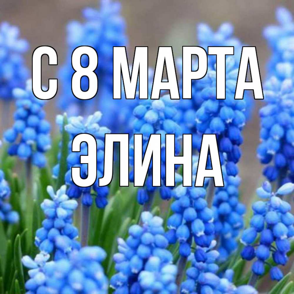 Открытка на каждый день с именем, Элина С 8 МАРТА Поздравительная открытка для женщин с цветами на праздничную дату Прикольная открытка с пожеланием онлайн скачать бесплатно 