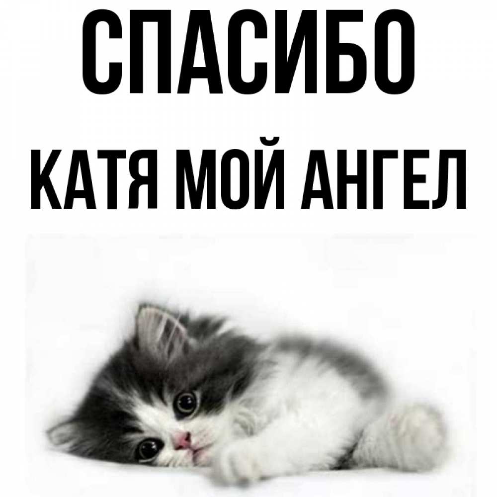 Спасибо катя картинки