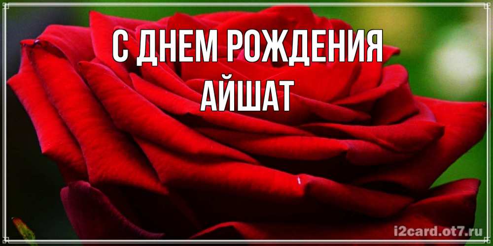 Открытка на каждый день с именем, АЙШАТ С днем рождения розочка очень красивая Прикольная открытка с пожеланием онлайн скачать бесплатно 