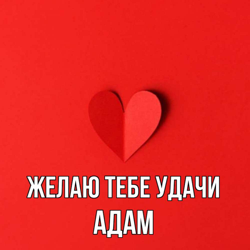 Открытка на каждый день с именем, Адам Желаю тебе удачи пусть повезет для любимых 1 Прикольная открытка с пожеланием онлайн скачать бесплатно 
