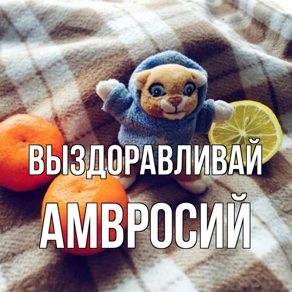 Открытка на каждый день с именем, Амвросий Выздоравливай вот тебе апельсинка и лимон Прикольная открытка с пожеланием онлайн скачать бесплатно 