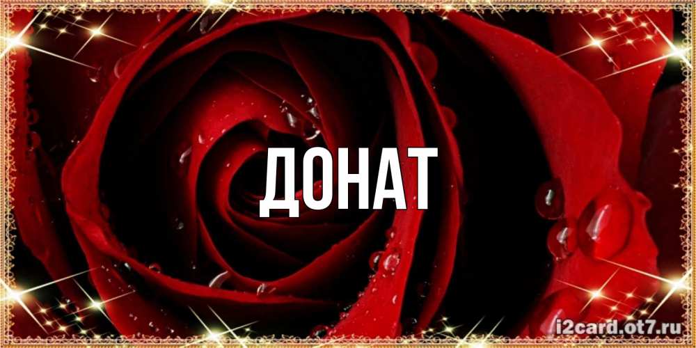 Открытка на каждый день с именем, Донат Главная цветок в росе на день рождения Прикольная открытка с пожеланием онлайн скачать бесплатно 