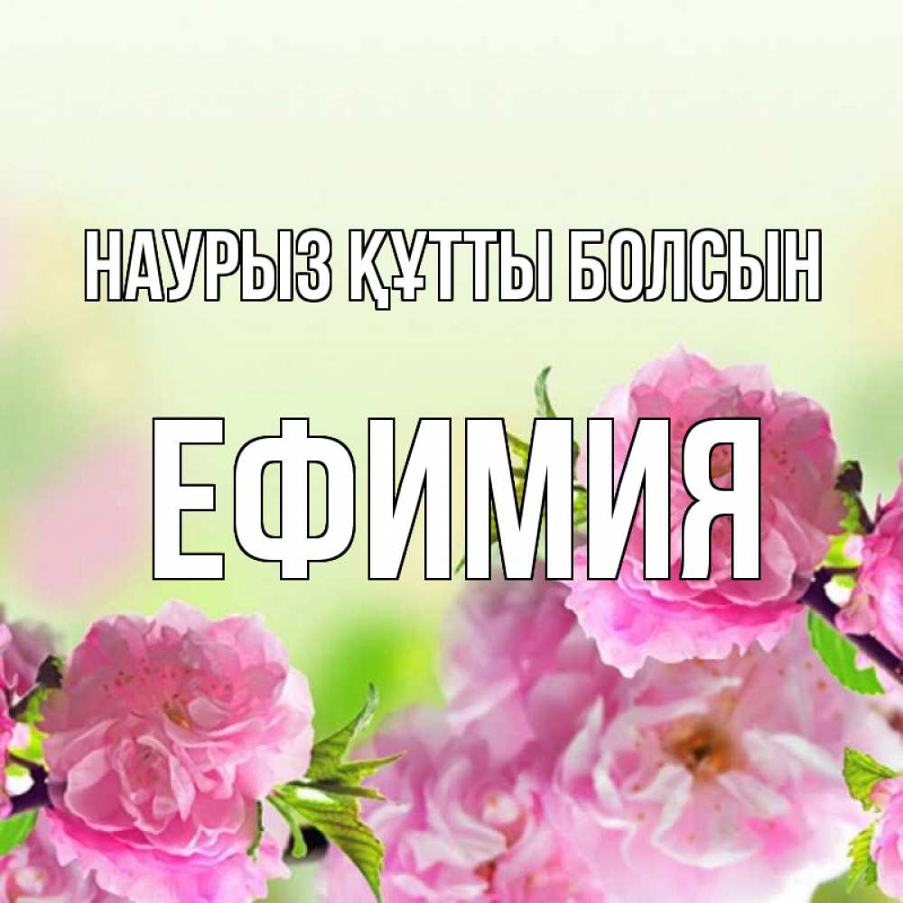 Открытка на каждый день с именем, Ефимия Наурыз құтты болсын цветы Прикольная открытка с пожеланием онлайн скачать бесплатно 