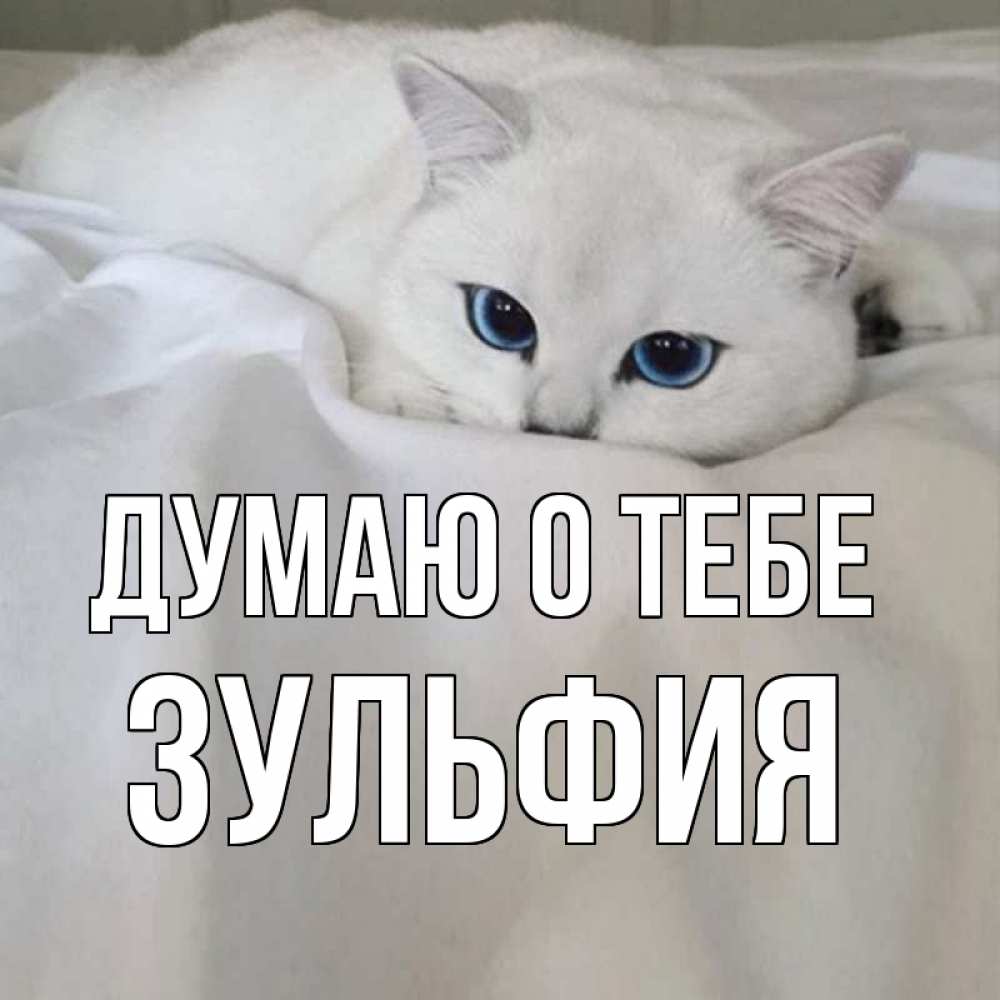Открытка на каждый день с именем, Зульфия Думаю о тебе я очень по тебе скучаю и тоскую Прикольная открытка с пожеланием онлайн скачать бесплатно 