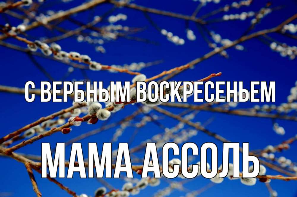 Открытка на каждый день с именем, Мама-Ассоль С вербным воскресеньем верба Прикольная открытка с пожеланием онлайн скачать бесплатно 