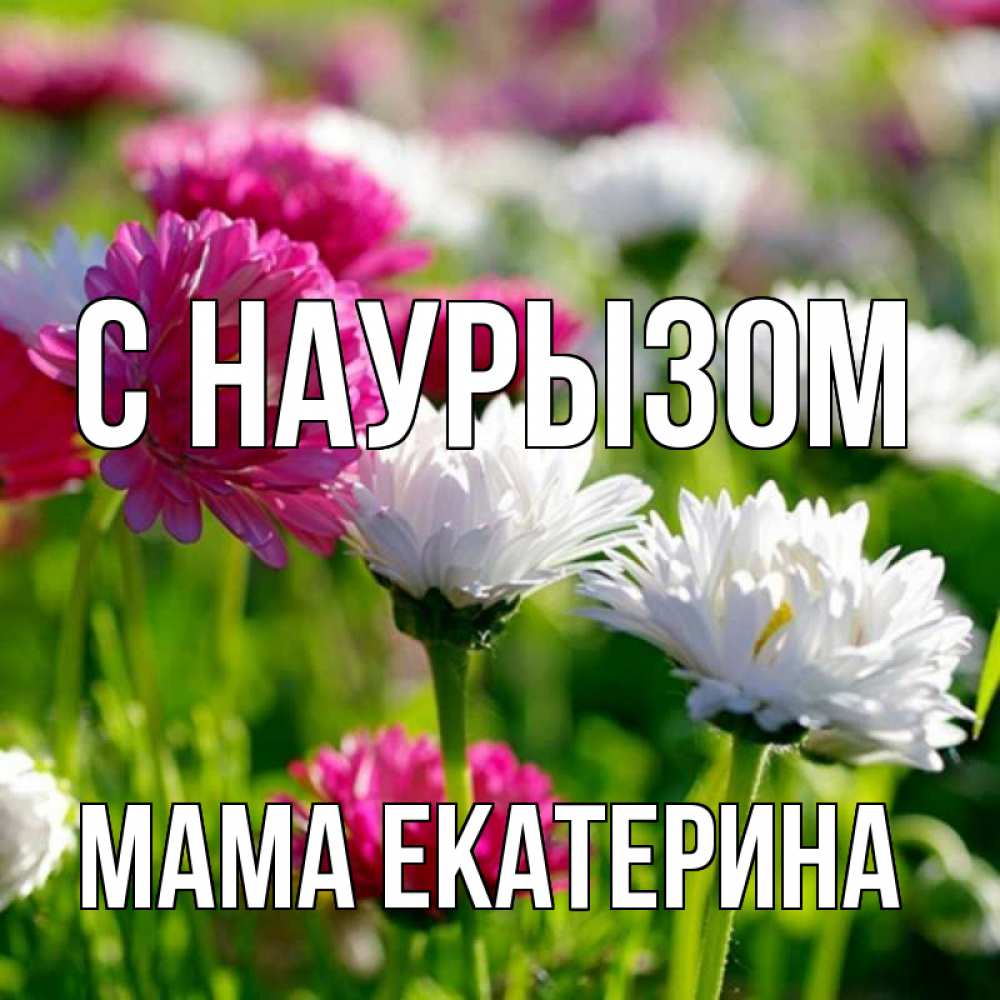 Открытка на каждый день с именем, Мама-Екатерина С наурызом праздник весны наурыз красота Прикольная открытка с пожеланием онлайн скачать бесплатно 