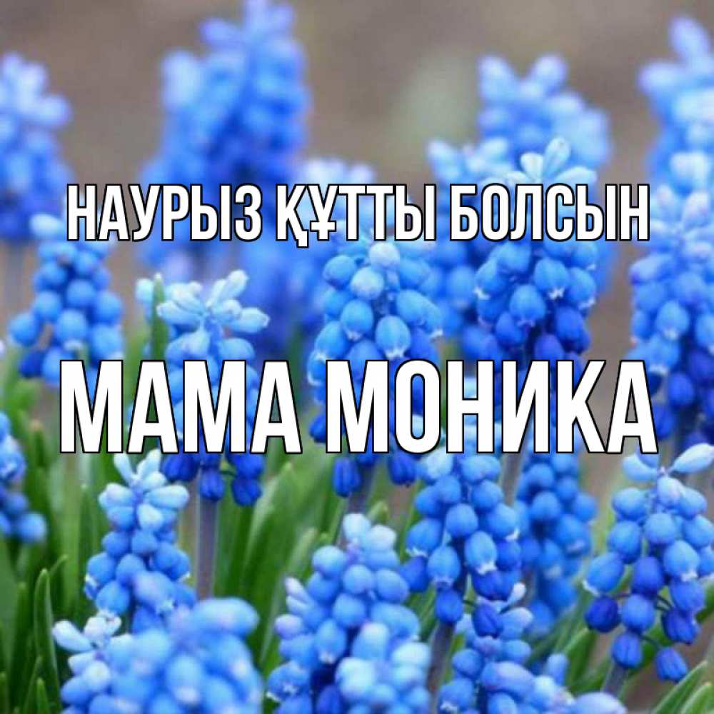 Открытка на каждый день с именем, Мама-Моника Наурыз құтты болсын Поздравительная открытка для женщин с цветами на праздничную дату Прикольная открытка с пожеланием онлайн скачать бесплатно 
