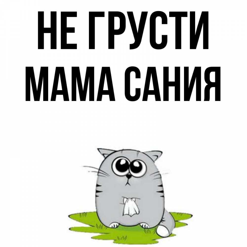Открытка на каждый день с именем, Мама-Сания Не грусти грустный котяра Прикольная открытка с пожеланием онлайн скачать бесплатно 