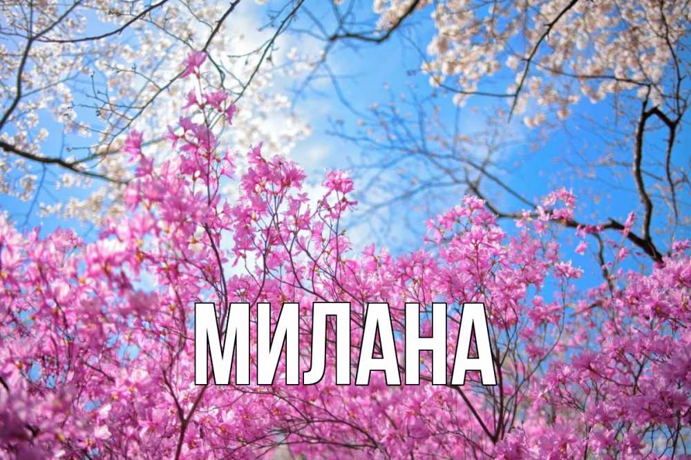 Открытка на каждый день с именем, Милана Главная С 1 мая Прикольная открытка с пожеланием онлайн скачать бесплатно 