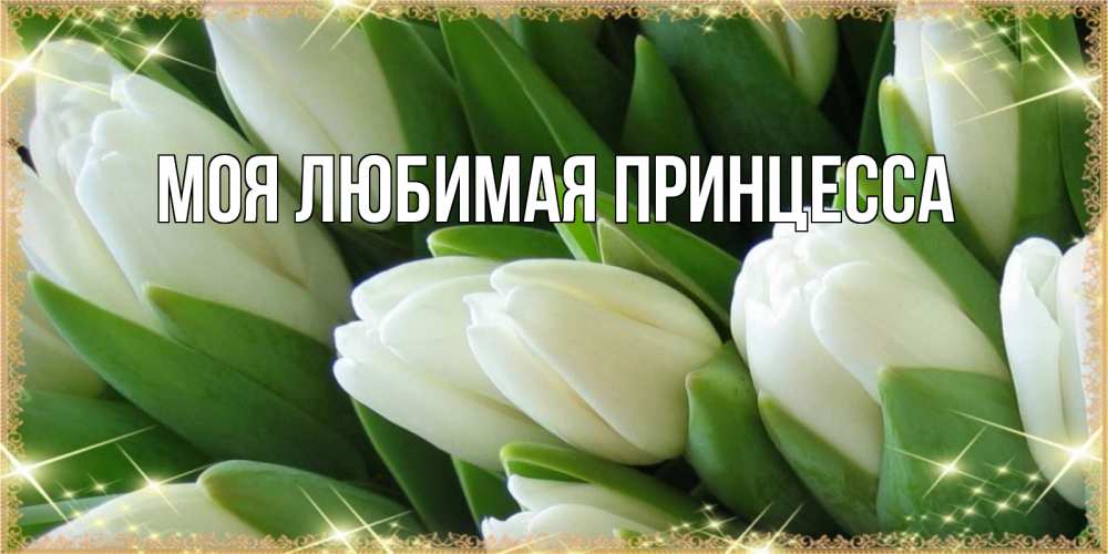 Открытка на каждый день с именем, Моя-Любимая-Принцесса Главная поздравляем с праздник весны наурыз Прикольная открытка с пожеланием онлайн скачать бесплатно 