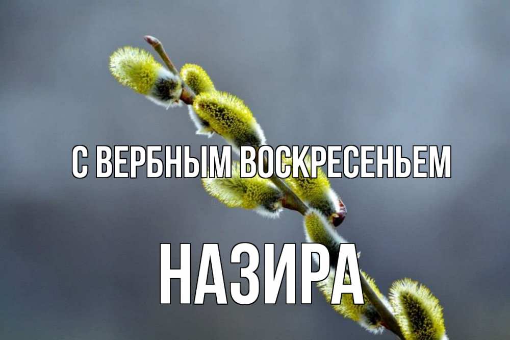 Открытка на каждый день с именем, Назира С вербным воскресеньем верба Прикольная открытка с пожеланием онлайн скачать бесплатно 