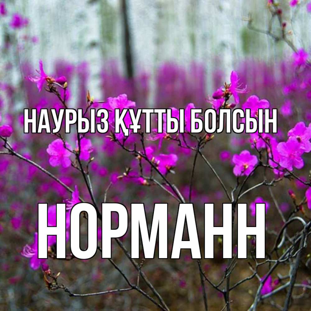 Открытка на каждый день с именем, Норманн Наурыз құтты болсын дикие цветы Прикольная открытка с пожеланием онлайн скачать бесплатно 