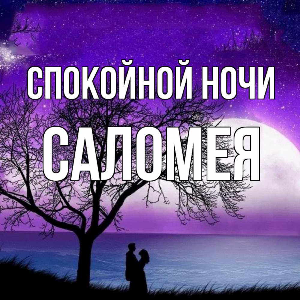 Открытка на каждый день с именем, Саломея Спокойной ночи огромная луна и парочка Прикольная открытка с пожеланием онлайн скачать бесплатно 