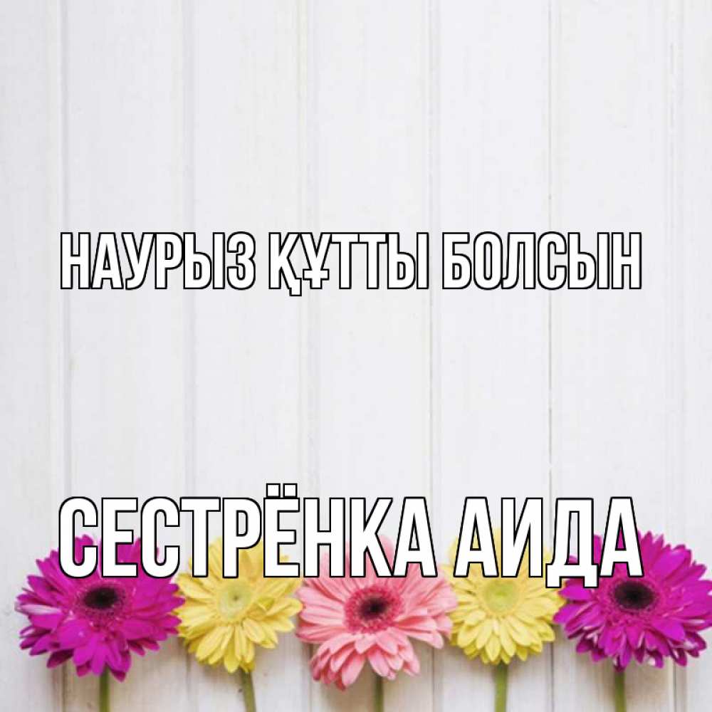 Открытка на каждый день с именем, Сестрёнка-Аида Наурыз құтты болсын женщинам 1 Прикольная открытка с пожеланием онлайн скачать бесплатно 