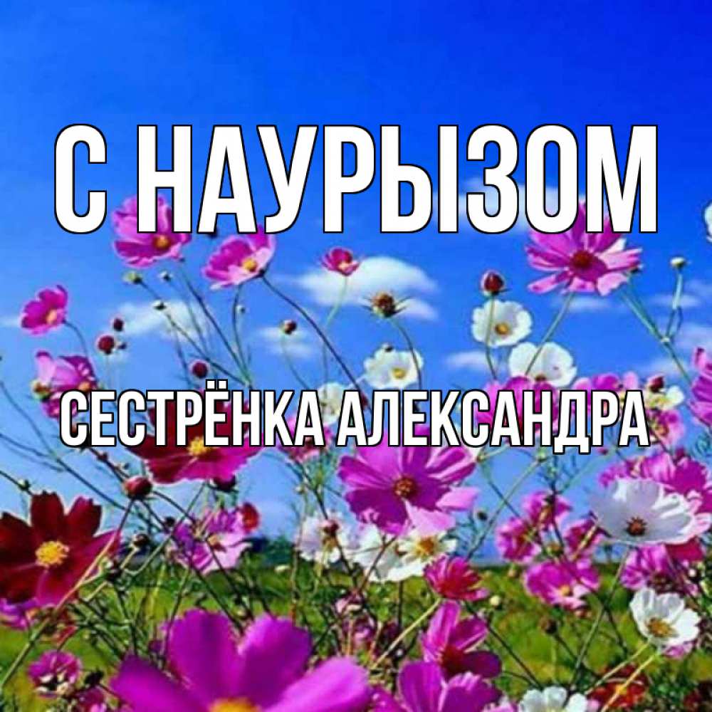 Открытка на каждый день с именем, Сестрёнка-Александра С наурызом цветы Прикольная открытка с пожеланием онлайн скачать бесплатно 