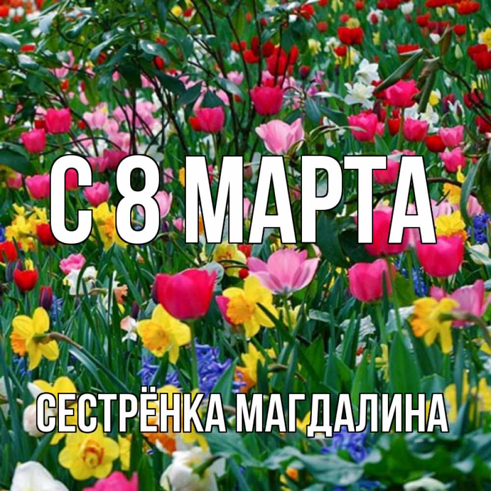 Открытка на каждый день с именем, Сестрёнка-Магдалина С 8 марта с международным женским днем поздравления для женщины Прикольная открытка с пожеланием онлайн скачать бесплатно 