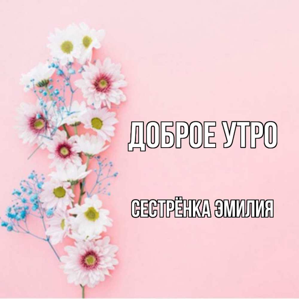 Открытка на каждый день с именем, Сестрёнка-Эмилия Доброе утро цветы с подписью Прикольная открытка с пожеланием онлайн скачать бесплатно 