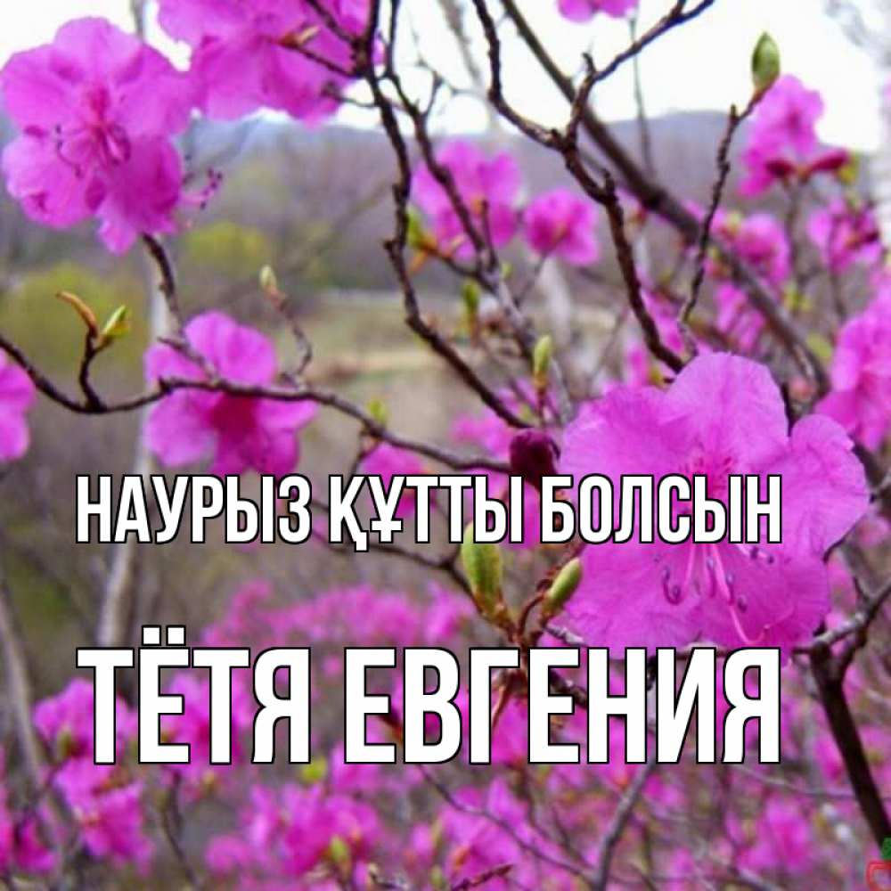 Открытка на каждый день с именем, Тётя-Евгения Наурыз құтты болсын наурыз мейрамы кутты болсын Прикольная открытка с пожеланием онлайн скачать бесплатно 