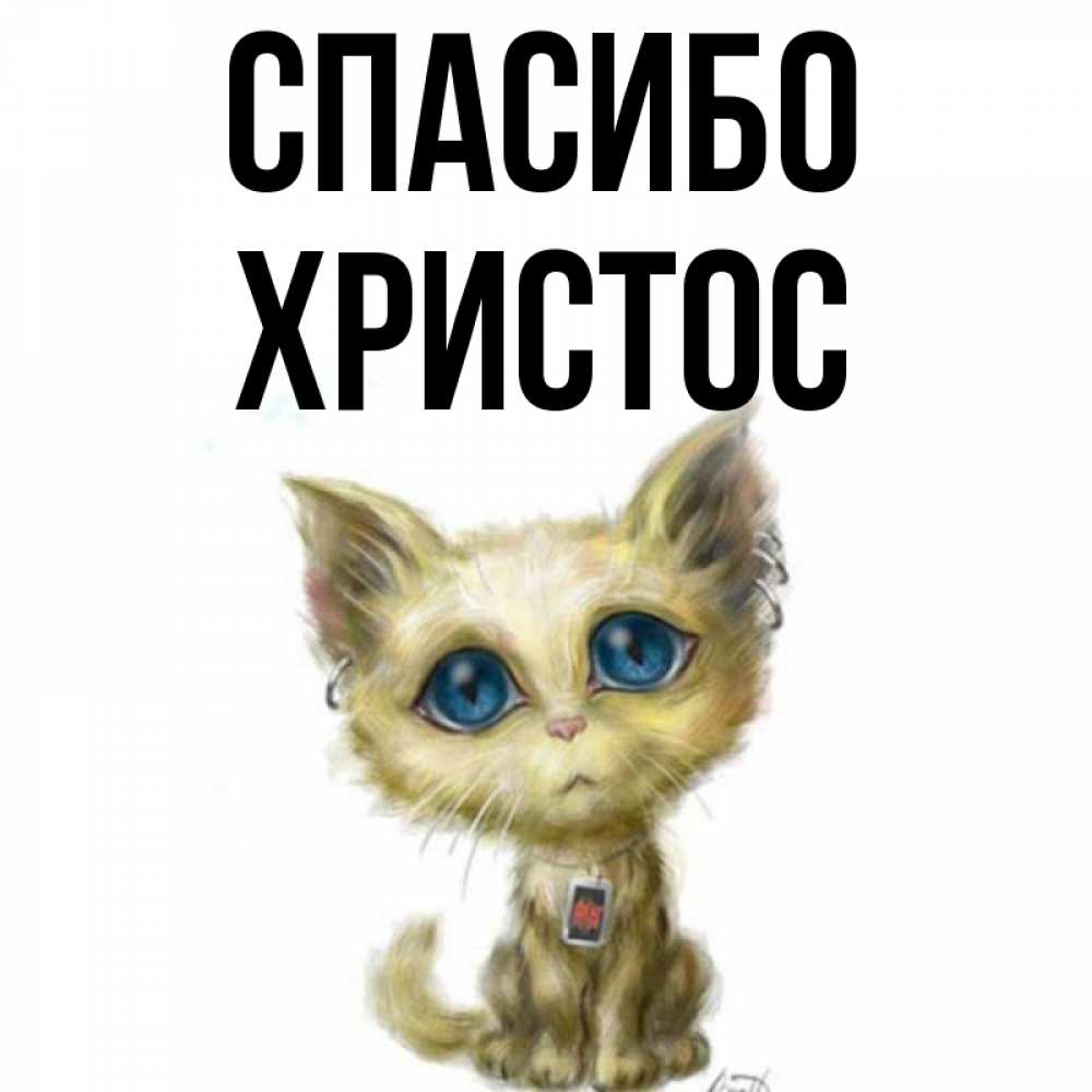 Открытка на каждый день с именем, Христос Спасибо рисованный кот благодарит вас Прикольная открытка с пожеланием онлайн скачать бесплатно 